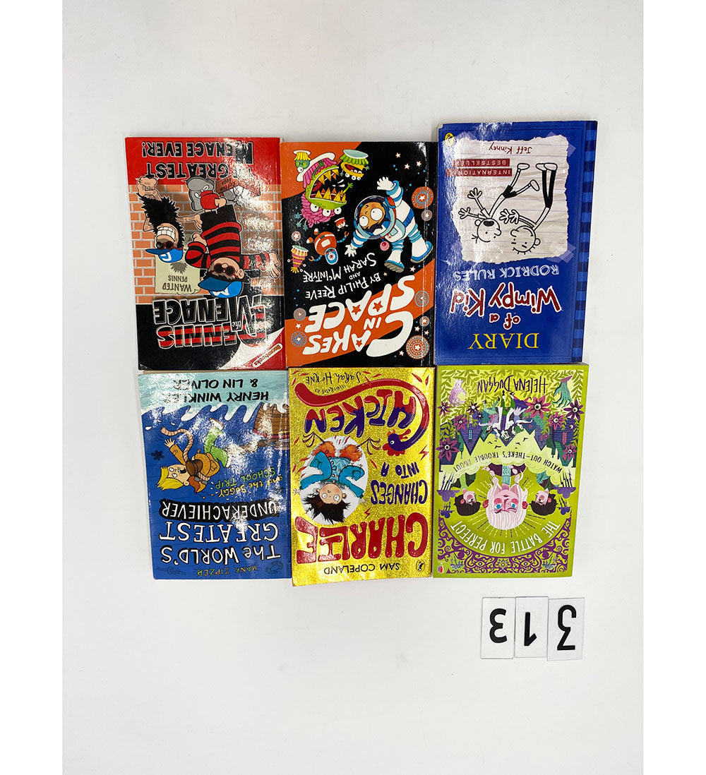 Book Bundle No.0313
